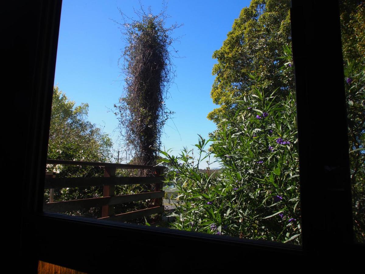 Cosy, Comfortable Cottage - Views & Location Plus Beauty Point Luaran gambar